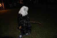 Thumbs/tn_foto_ 013.jpg